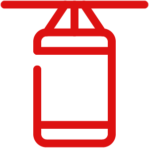 Boxing Training Sessions